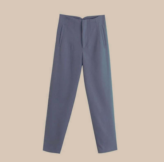 Verity formal pants In Grey
